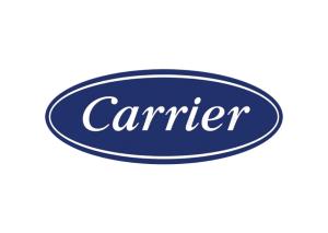 Carrier
