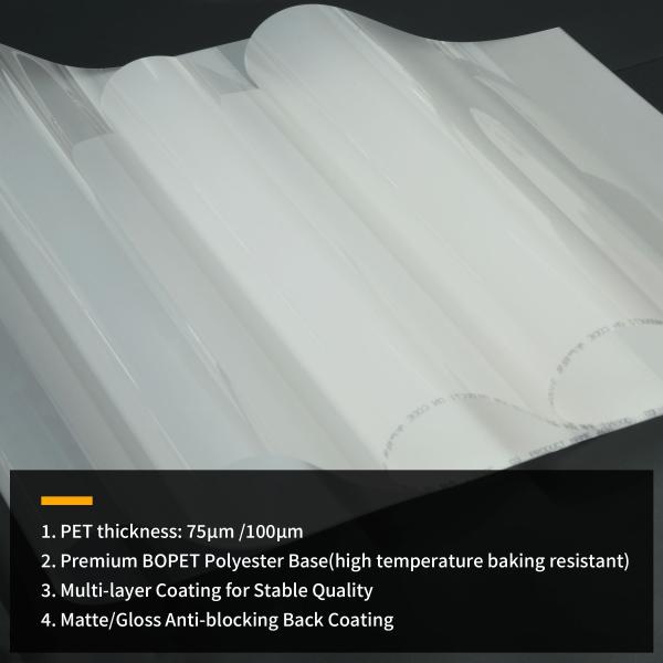 Anti-Static Clear DTF PET Cold Peel Matte Transfer Film