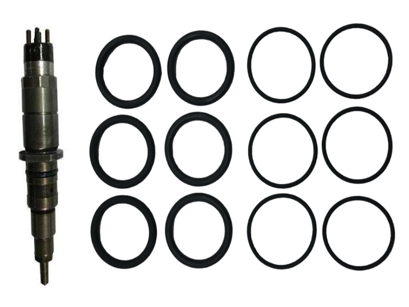 Injector O-rings